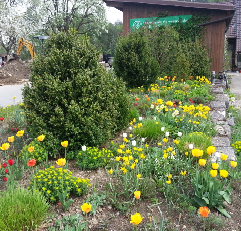 Frühling am Giebelweg 2013