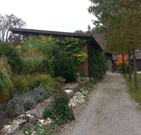 Herbst am Giebelweg Oktober 2015