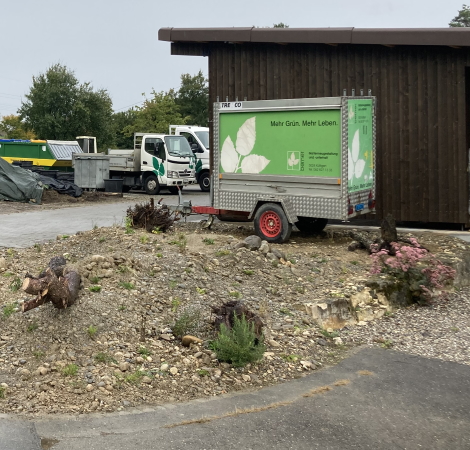 Naturgarten am Giebelweg Bepflanzung 12