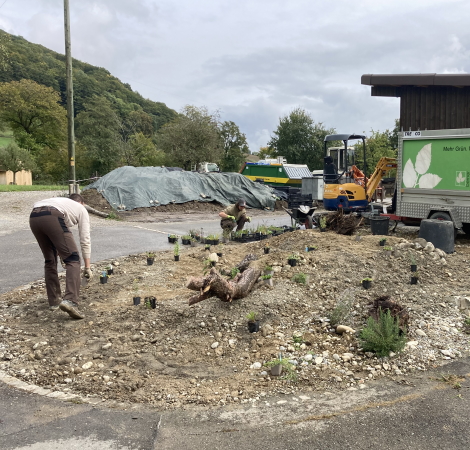 Naturgarten am Giebelweg Bepflanzung 24
