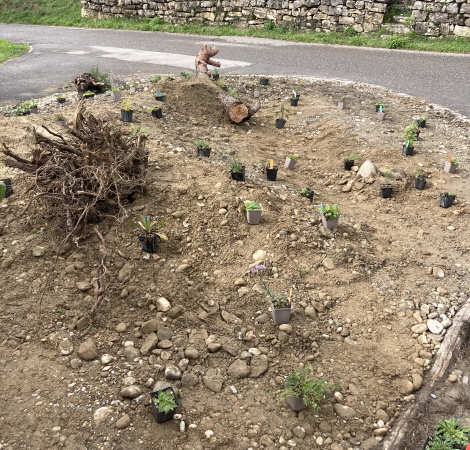 Naturgarten am Giebelweg Bepflanzung 37