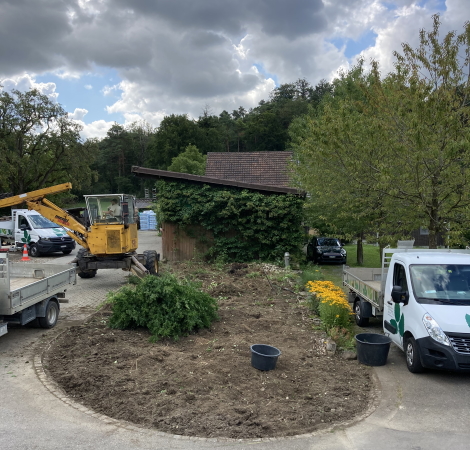 Rodung Staudengarten