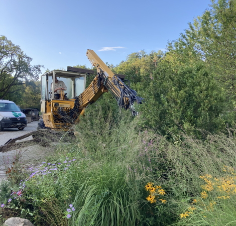Rodung Staudengarten Bagger