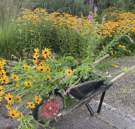 Rodung Staudengarten Garette